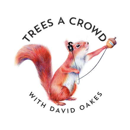 Trees A Crowd with David Oakes